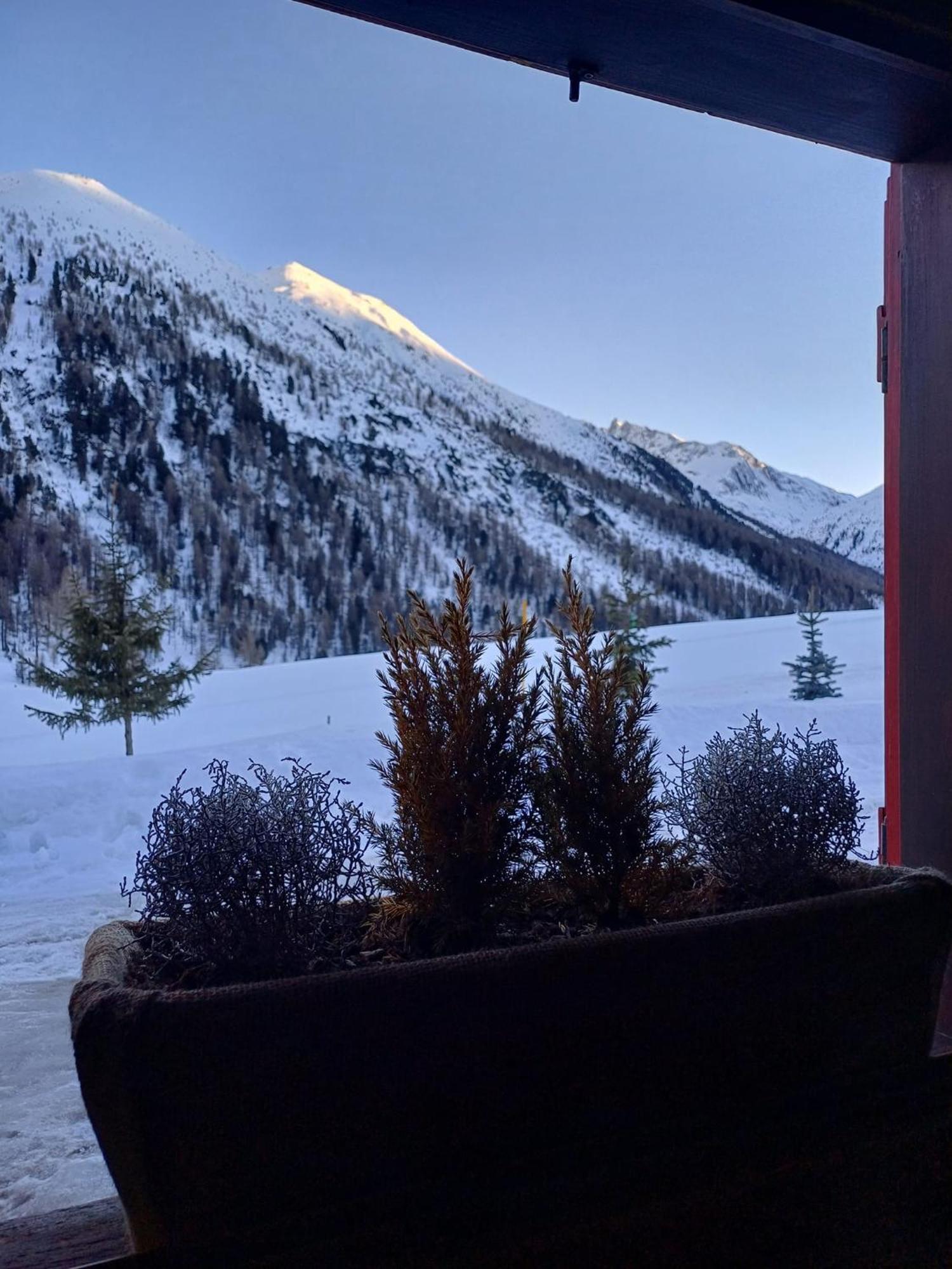 Renzo Chalet *